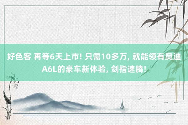 好色客 再等6天上市! 只需10多万， 就能领有奥迪A6L的豪车新体验， 剑指速腾!