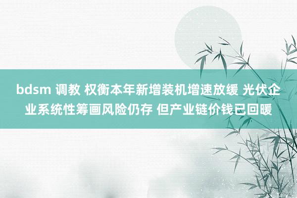 bdsm 调教 权衡本年新增装机增速放缓 光伏企业系统性筹画风险仍存 但产业链价钱已回暖