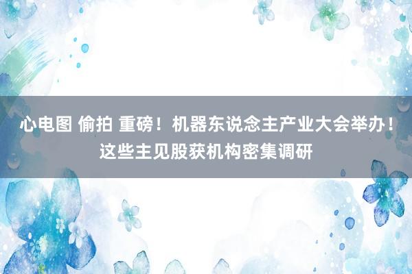 心电图 偷拍 重磅！机器东说念主产业大会举办！这些主见股获机构密集调研