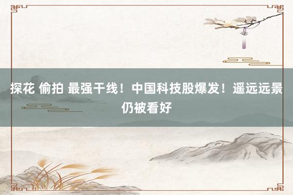 探花 偷拍 最强干线！中国科技股爆发！遥远远景仍被看好