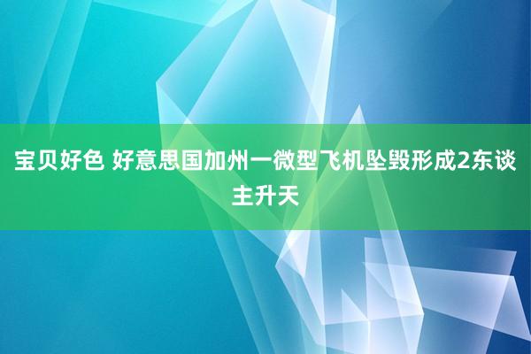宝贝好色 好意思国加州一微型飞机坠毁形成2东谈主升天