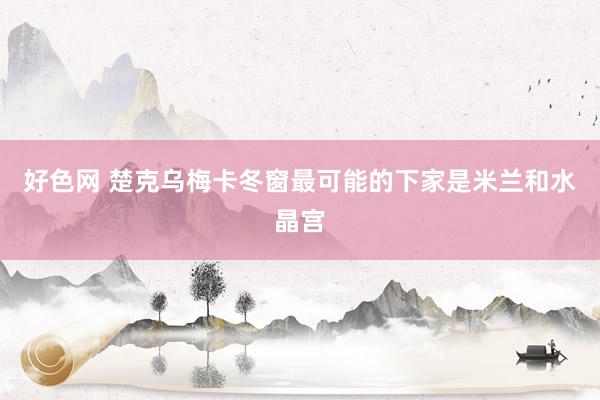 好色网 楚克乌梅卡冬窗最可能的下家是米兰和水晶宫
