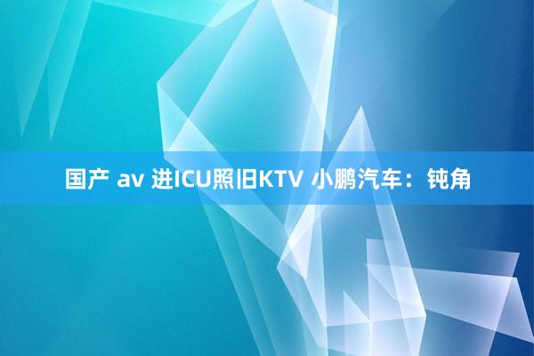 国产 av 进ICU照旧KTV 小鹏汽车：钝角