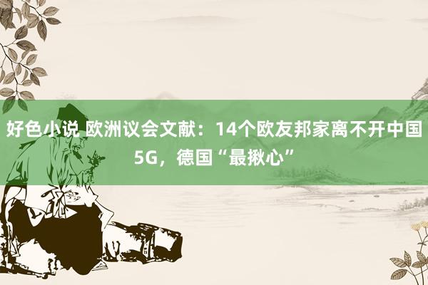 好色小说 欧洲议会文献：14个欧友邦家离不开中国5G，德国“最揪心”