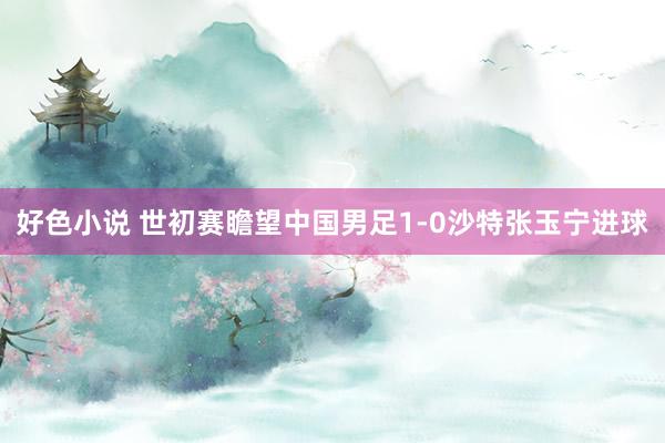 好色小说 世初赛瞻望中国男足1-0沙特张玉宁进球