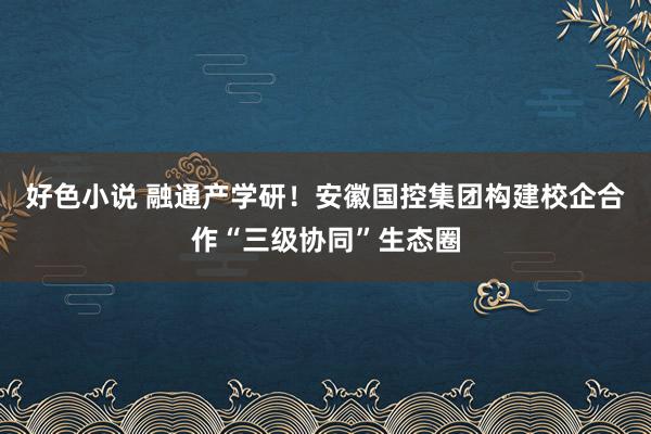 好色小说 融通产学研！安徽国控集团构建校企合作“三级协同”生态圈