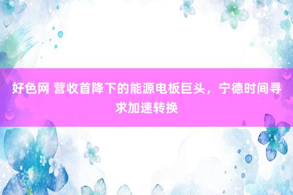 好色网 营收首降下的能源电板巨头，宁德时间寻求加速转换