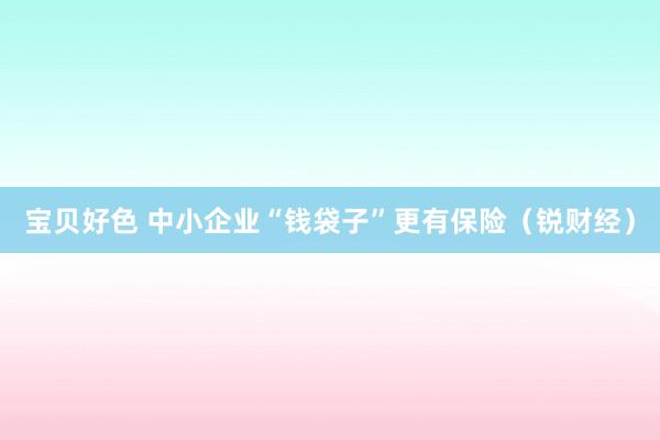 宝贝好色 中小企业“钱袋子”更有保险（锐财经）