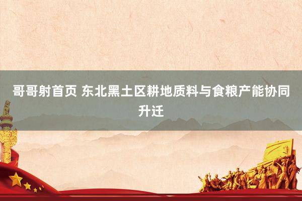 哥哥射首页 东北黑土区耕地质料与食粮产能协同升迁