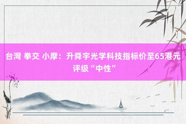 台灣 拳交 小摩：升舜宇光学科技指标价至65港元 评级“中性”