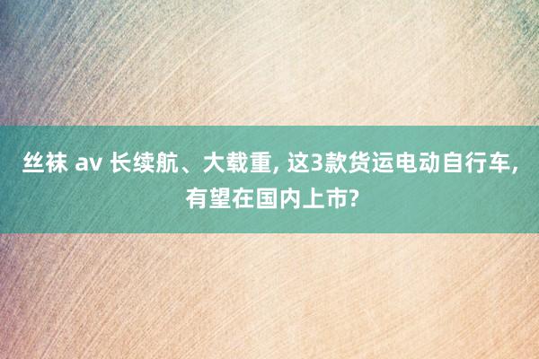 丝袜 av 长续航、大载重， 这3款货运电动自行车， 有望在国内上市?