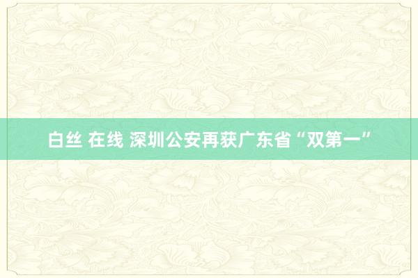 白丝 在线 深圳公安再获广东省“双第一”