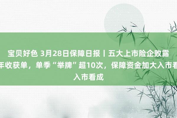 宝贝好色 3月28日保障日报丨五大上市险企败露昨年收获单，单季“举牌”超10次，保障资金加大入市看成
