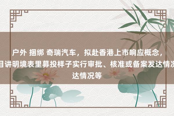 户外 捆绑 奇瑞汽车，拟赴香港上市响应概念，条目讲明境表里募投样子实行审批、核准或备案发达情况等