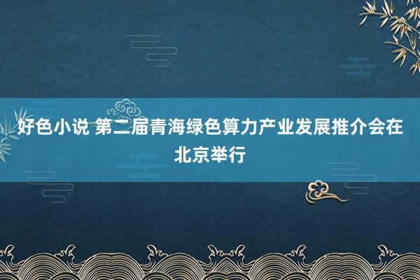 好色小说 第二届青海绿色算力产业发展推介会在北京举行