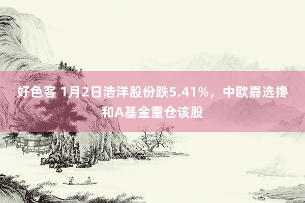 好色客 1月2日浩洋股份跌5.41%，中欧嘉选搀和A基金重仓该股