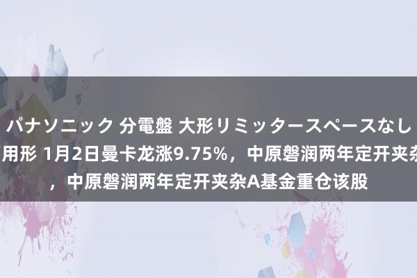 パナソニック 分電盤 大形リミッタースペースなし 露出・半埋込両用形 1月2日曼卡龙涨9.75%，中原磐润两年定开夹杂A基金重仓该股