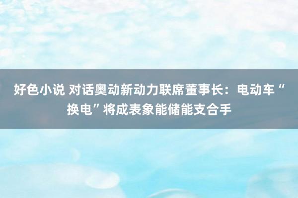 好色小说 对话奥动新动力联席董事长：电动车“换电”将成表象能储能支合手