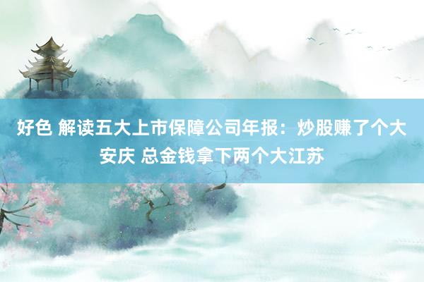 好色 解读五大上市保障公司年报：炒股赚了个大安庆 总金钱拿下两个大江苏