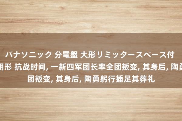 パナソニック 分電盤 大形リミッタースペース付 露出・半埋込両用形 抗战时间， 一新四军团长率全团叛变， 其身后， 陶勇躬行插足其葬礼