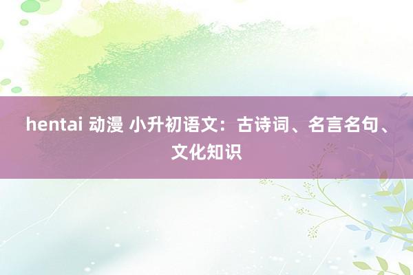 hentai 动漫 小升初语文：古诗词、名言名句、文化知识