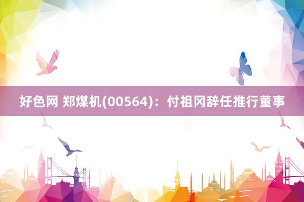 好色网 郑煤机(00564)：付祖冈辞任推行董事