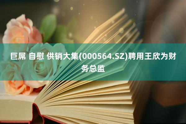 巨屌 自慰 供销大集(000564.SZ)聘用王欣为财务总监