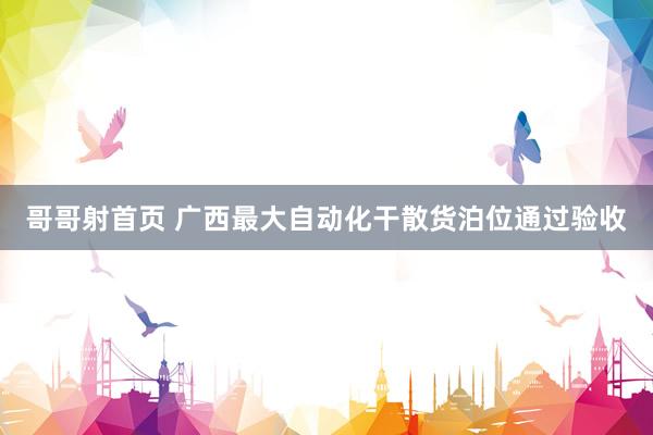 哥哥射首页 广西最大自动化干散货泊位通过验收