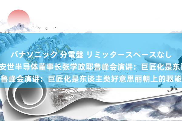パナソニック 分電盤 リミッタースペースなし 露出・半埋込両用形 安世半导体董事长张学政耶鲁峰会演讲：巨匠化是东谈主类好意思丽朝上的驱能源