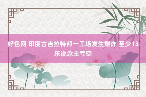 好色网 印度古吉拉特邦一工场发生爆炸 至少13东说念主亏空