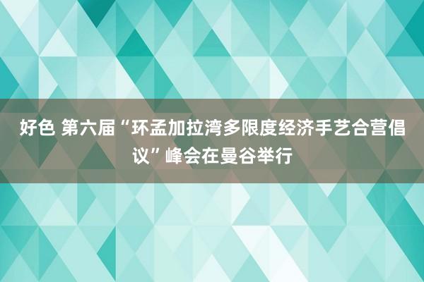 好色 第六届“环孟加拉湾多限度经济手艺合营倡议”峰会在曼谷举行