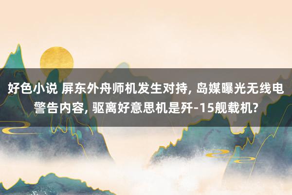 好色小说 屏东外舟师机发生对持， 岛媒曝光无线电警告内容， 驱离好意思机是歼-15舰载机?