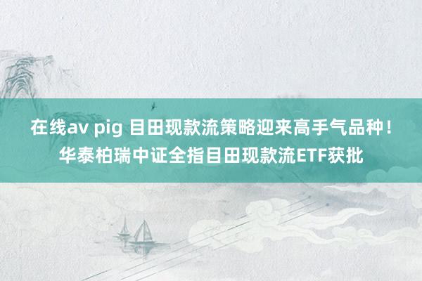 在线av pig 目田现款流策略迎来高手气品种！华泰柏瑞中证全指目田现款流ETF获批