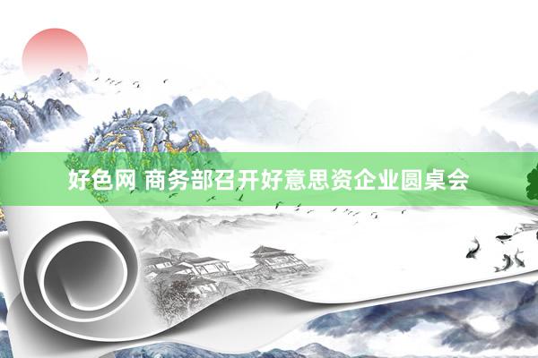 好色网 商务部召开好意思资企业圆桌会