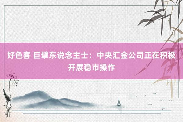 好色客 巨擘东说念主士：中央汇金公司正在积极开展稳市操作