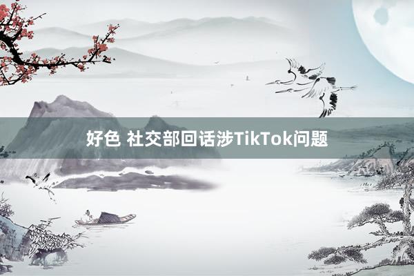 好色 社交部回话涉TikTok问题