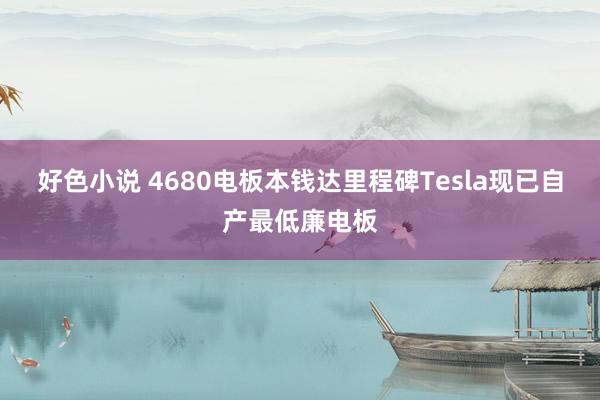 好色小说 4680电板本钱达里程碑Tesla现已自产最低廉电板