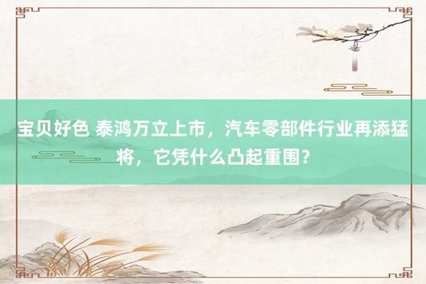 宝贝好色 泰鸿万立上市，汽车零部件行业再添猛将，它凭什么凸起重围？