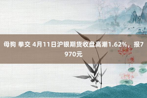 母狗 拳交 4月11日沪银期货收盘高潮1.62%，报7970元