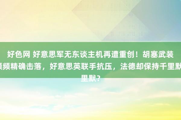 好色网 好意思军无东谈主机再遭重创！胡塞武装频频精确击落，好意思英联手抗压，法德却保持千里默？