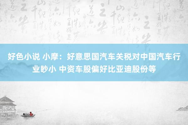 好色小说 小摩：好意思国汽车关税对中国汽车行业眇小 中资车股偏好比亚迪股份等