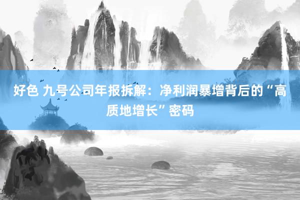 好色 九号公司年报拆解：净利润暴增背后的“高质地增长”密码