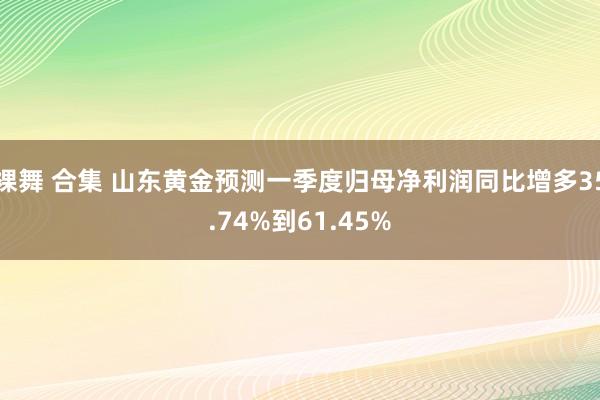 裸舞 合集 山东黄金预测一季度归母净利润同比增多35.74%到61.45%