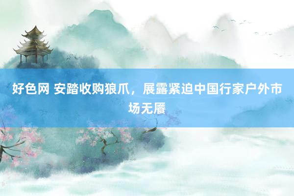 好色网 安踏收购狼爪，展露紧迫中国行家户外市场无餍