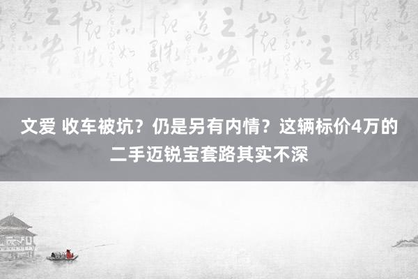 文爱 收车被坑？仍是另有内情？这辆标价4万的二手迈锐宝套路其实不深