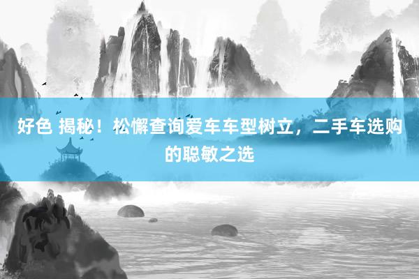 好色 揭秘！松懈查询爱车车型树立，二手车选购的聪敏之选