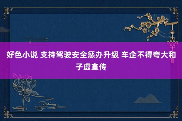好色小说 支持驾驶安全惩办升级 车企不得夸大和子虚宣传