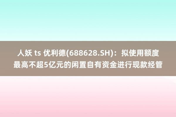人妖 ts 优利德(688628.SH)：拟使用额度最高不超5亿元的闲置自有资金进行现款经管