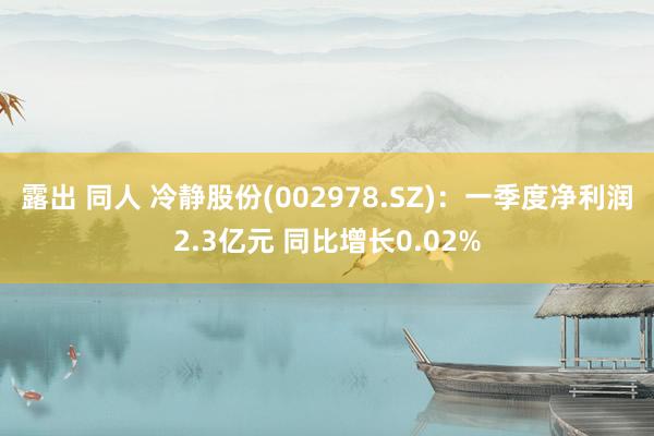 露出 同人 冷静股份(002978.SZ)：一季度净利润2.3亿元 同比增长0.02%