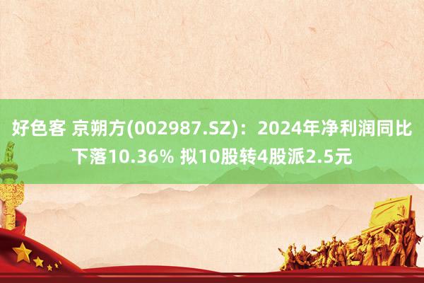 好色客 京朔方(002987.SZ)：2024年净利润同比下落10.36% 拟10股转4股派2.5元